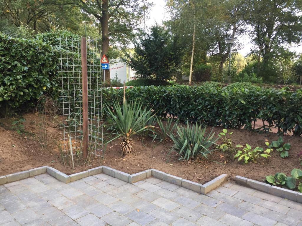 Rumah Kita, Bungalow Met 2 Slaapkamers In Het Mooie Drenthe Erm Esterno foto